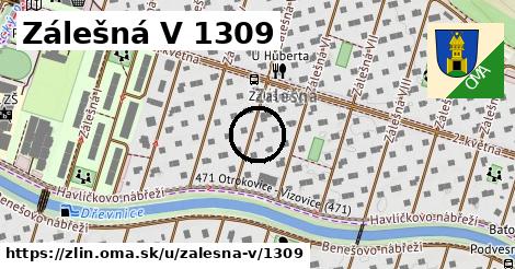 Zálešná V 1309, Zlín