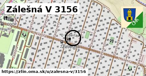 Zálešná V 3156, Zlín