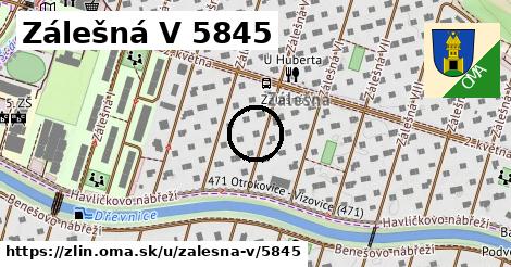 Zálešná V 5845, Zlín