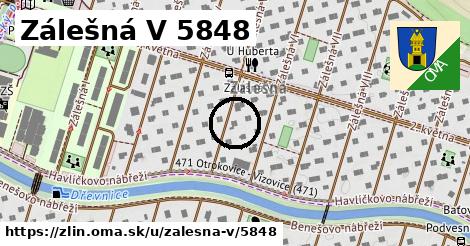 Zálešná V 5848, Zlín