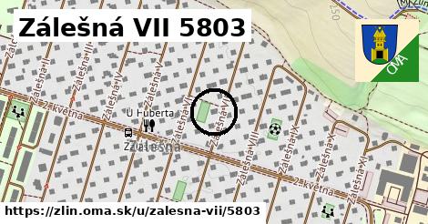 Zálešná VII 5803, Zlín