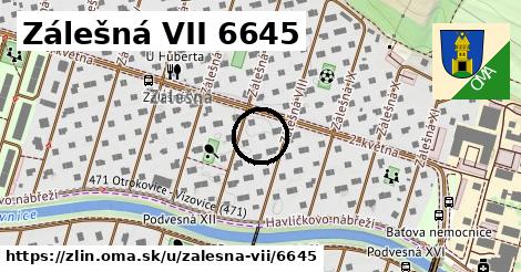 Zálešná VII 6645, Zlín