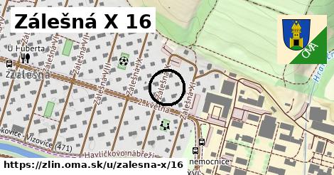 Zálešná X 16, Zlín