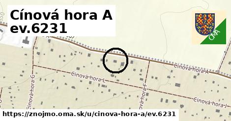 Cínová hora A ev.6231, Znojmo