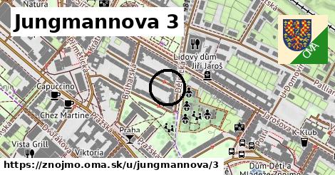 Jungmannova 3, Znojmo