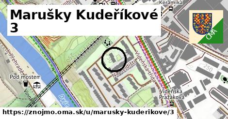 Marušky Kudeříkové 3, Znojmo