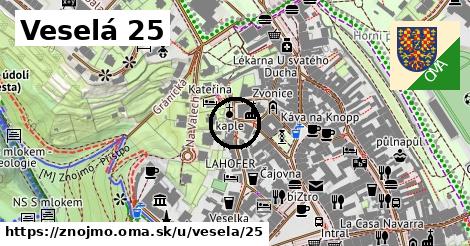 Veselá 25, Znojmo