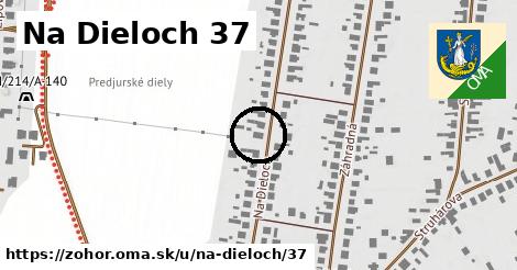 Na Dieloch 37, Zohor