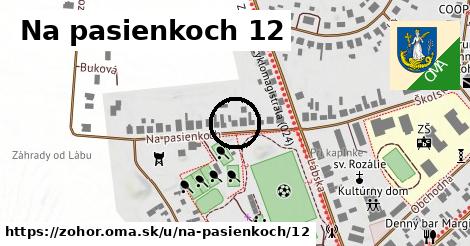 Na pasienkoch 12, Zohor