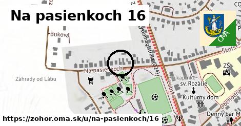 Na pasienkoch 16, Zohor