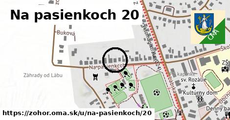 Na pasienkoch 20, Zohor