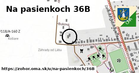 Na pasienkoch 36B, Zohor