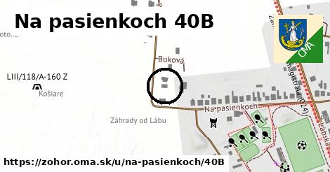 Na pasienkoch 40B, Zohor