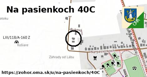 Na pasienkoch 40C, Zohor