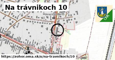 Na trávnikoch 10, Zohor