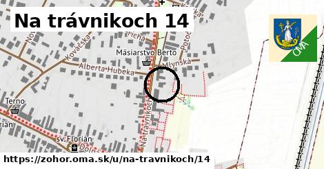 Na trávnikoch 14, Zohor