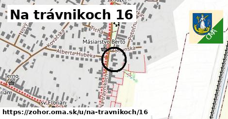 Na trávnikoch 16, Zohor