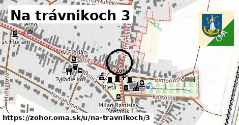 Na trávnikoch 3, Zohor