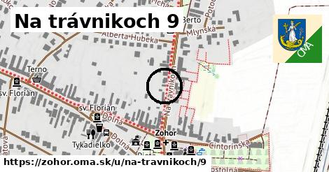 Na trávnikoch 9, Zohor