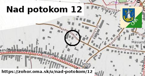 Nad potokom 12, Zohor