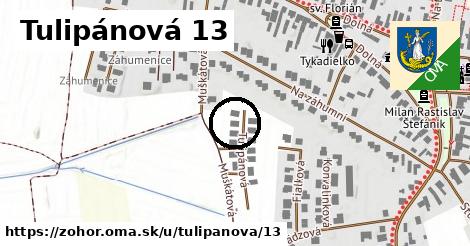 Tulipánová 13, Zohor