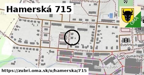 Hamerská 715, Zubří