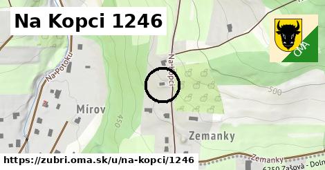 Na Kopci 1246, Zubří