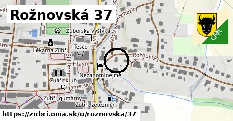 Rožnovská 37, Zubří