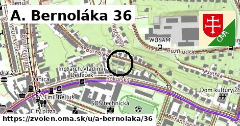 A. Bernoláka 36, Zvolen