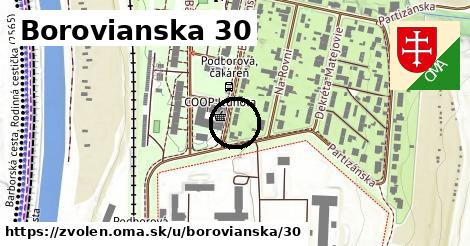 Borovianska 30, Zvolen