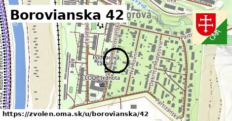 Borovianska 42, Zvolen