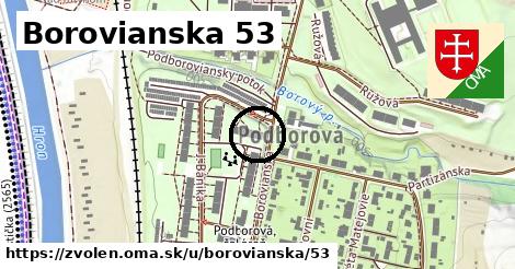 Borovianska 53, Zvolen