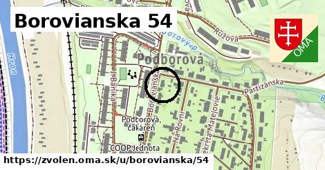 Borovianska 54, Zvolen