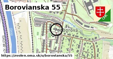 Borovianska 55, Zvolen