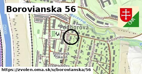 Borovianska 56, Zvolen