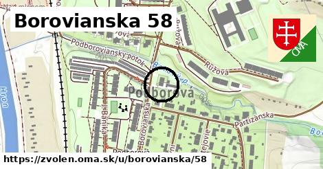 Borovianska 58, Zvolen