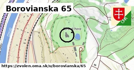 Borovianska 65, Zvolen