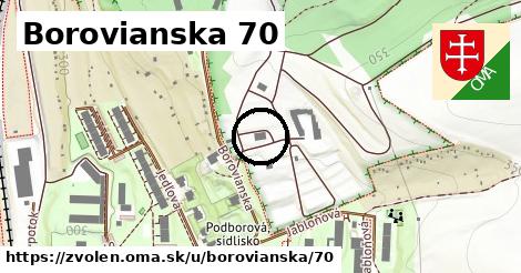 Borovianska 70, Zvolen