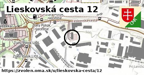 Lieskovská cesta 12, Zvolen