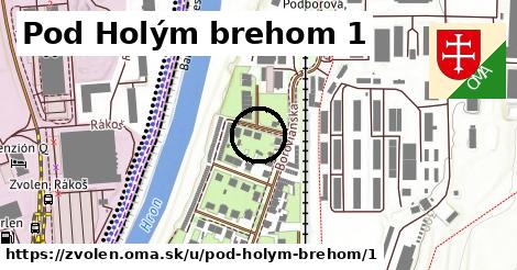 Pod Holým brehom 1, Zvolen