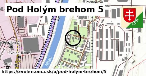 Pod Holým brehom 5, Zvolen