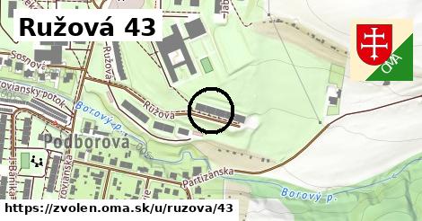 Ružová 43, Zvolen