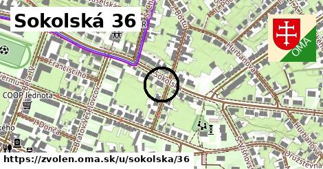 Sokolská 36, Zvolen