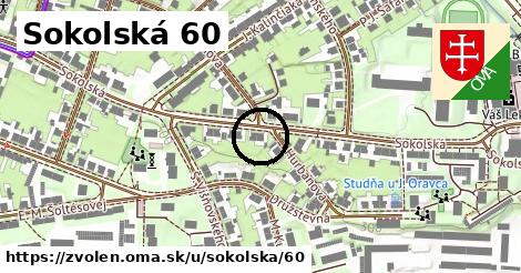 Sokolská 60, Zvolen