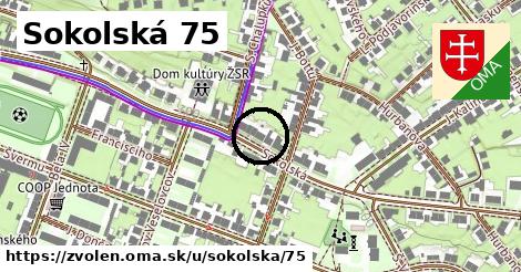 Sokolská 75, Zvolen