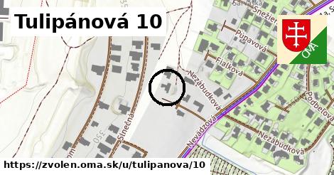 Tulipánová 10, Zvolen
