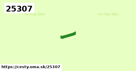 25307
