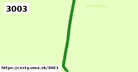 3003