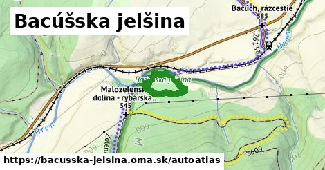 ulice v Bacúšska jelšina