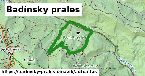 ikona Mapa autoatlas v badinsky-prales